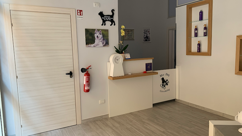 Max Dog Grooming - Foto 4