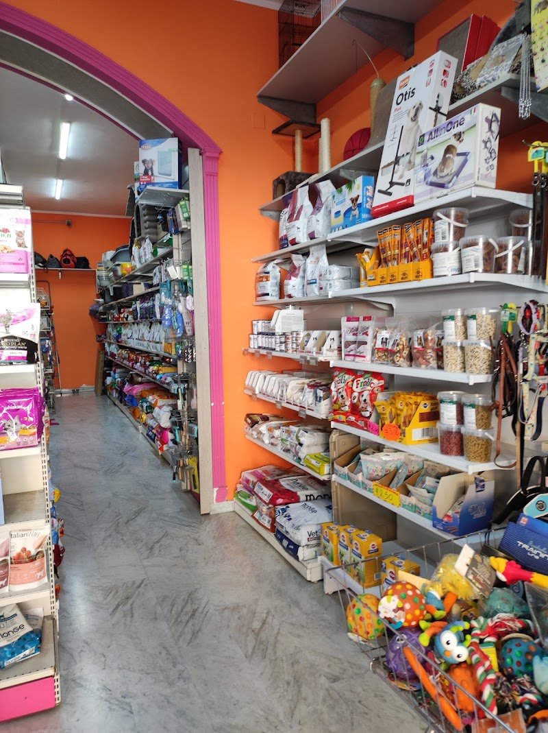 Max Pets Caserta - Foto 2