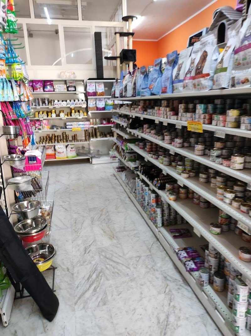 Max Pets Caserta - Foto 3