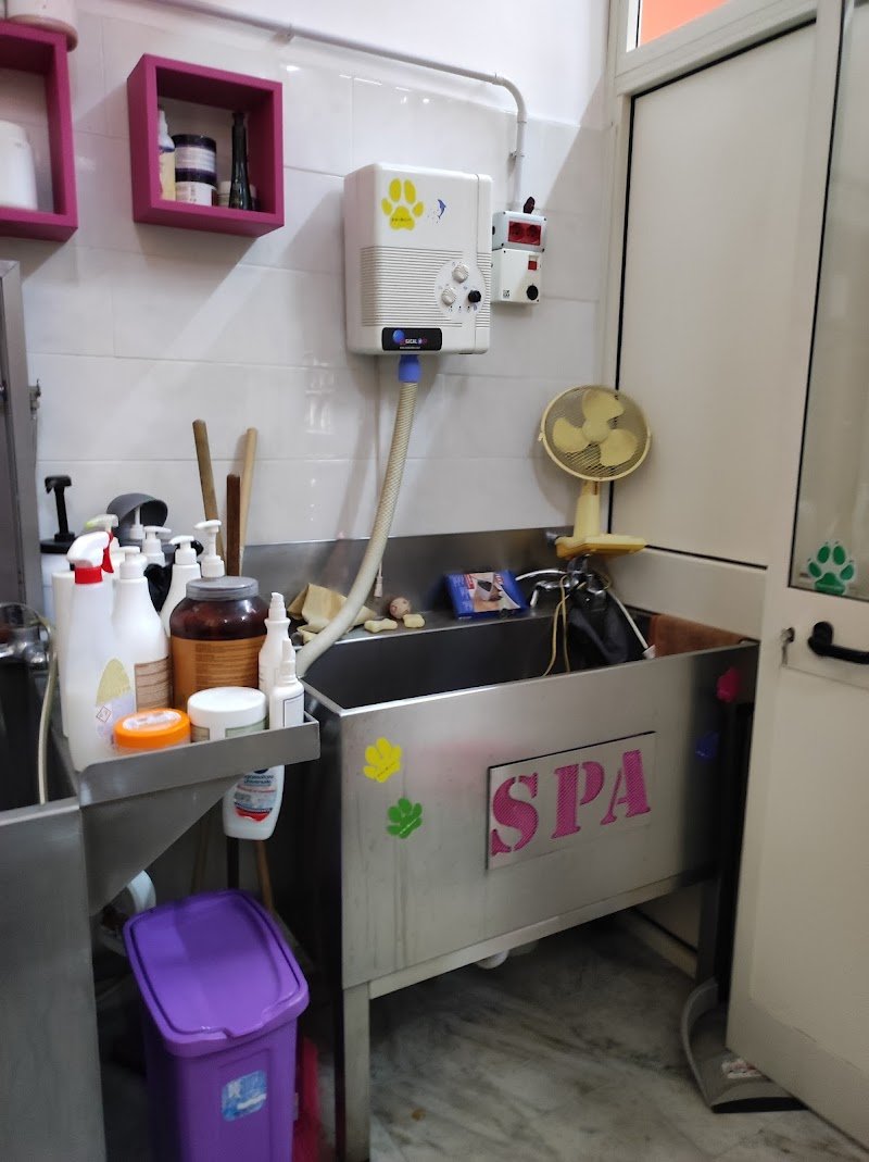 Max Pets Caserta - Foto 4