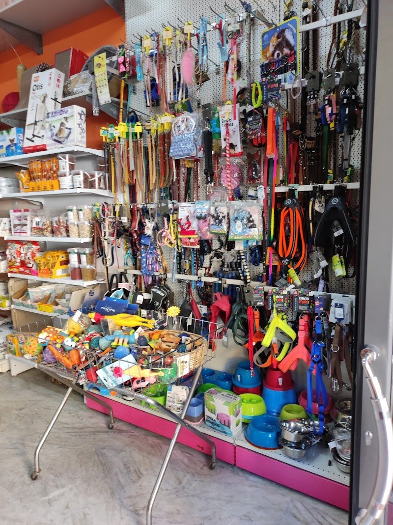 Max Pets Caserta - Foto 5