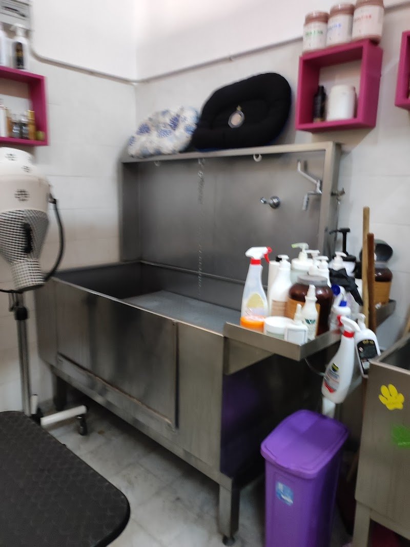 Max Pets Caserta - Foto 6