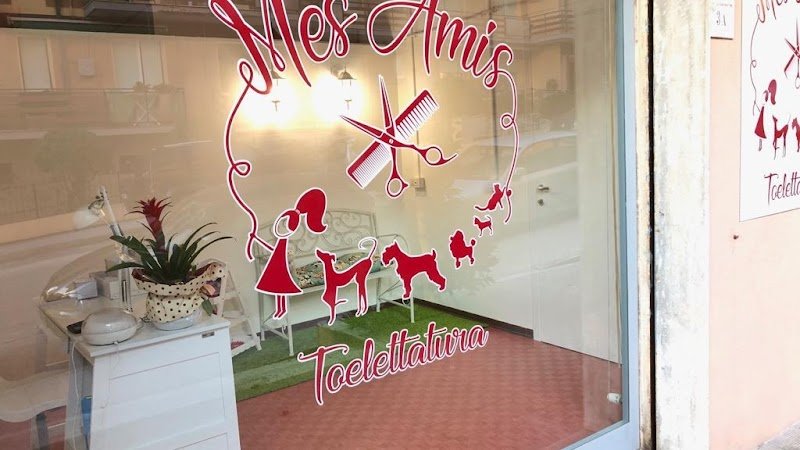 Mes Amis toelettatura di Valentina Provinciali - Foto 1