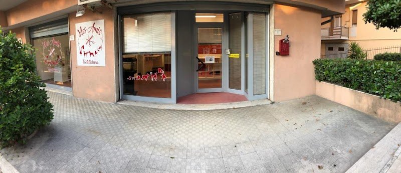 Mes Amis toelettatura di Valentina Provinciali - Foto 2