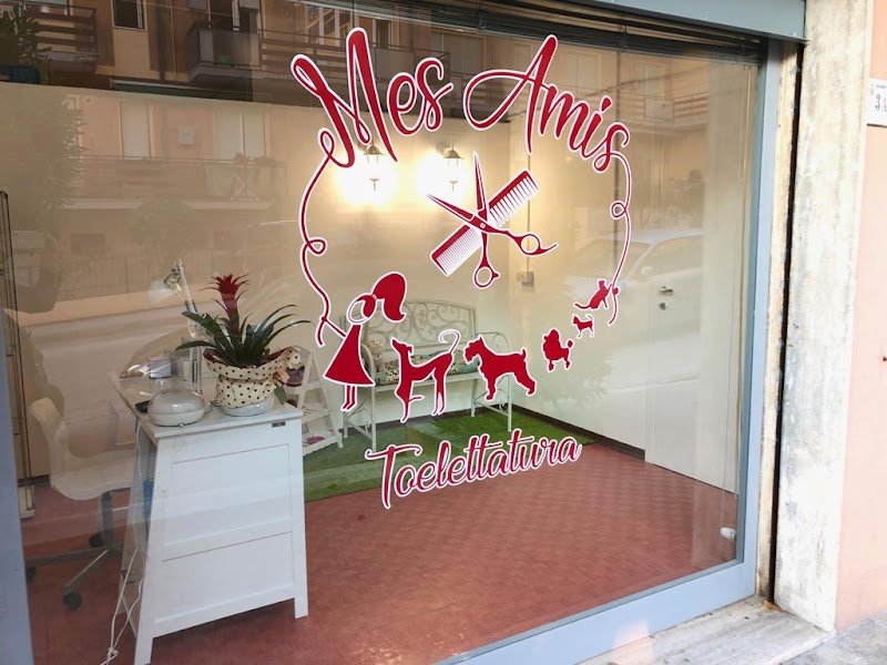 Mes Amis toelettatura di Valentina Provinciali - Foto 4