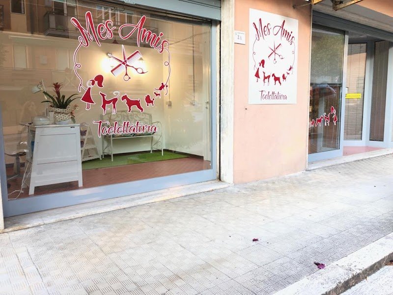 Mes Amis toelettatura di Valentina Provinciali - Foto 5