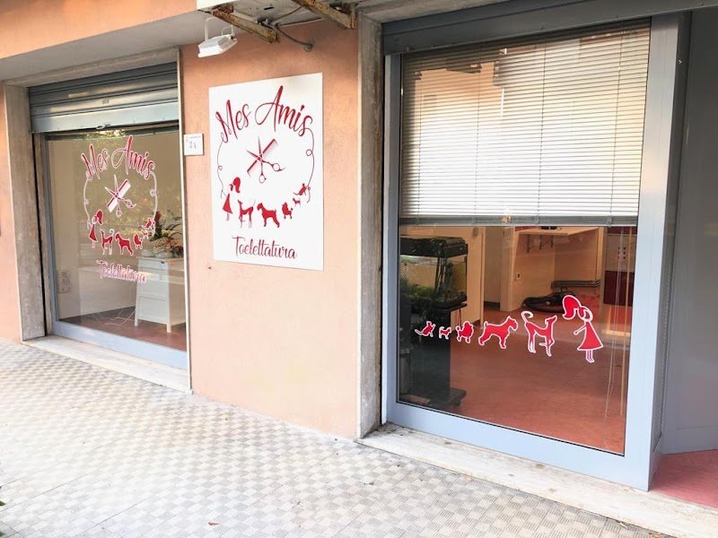 Mes Amis toelettatura di Valentina Provinciali - Foto 6