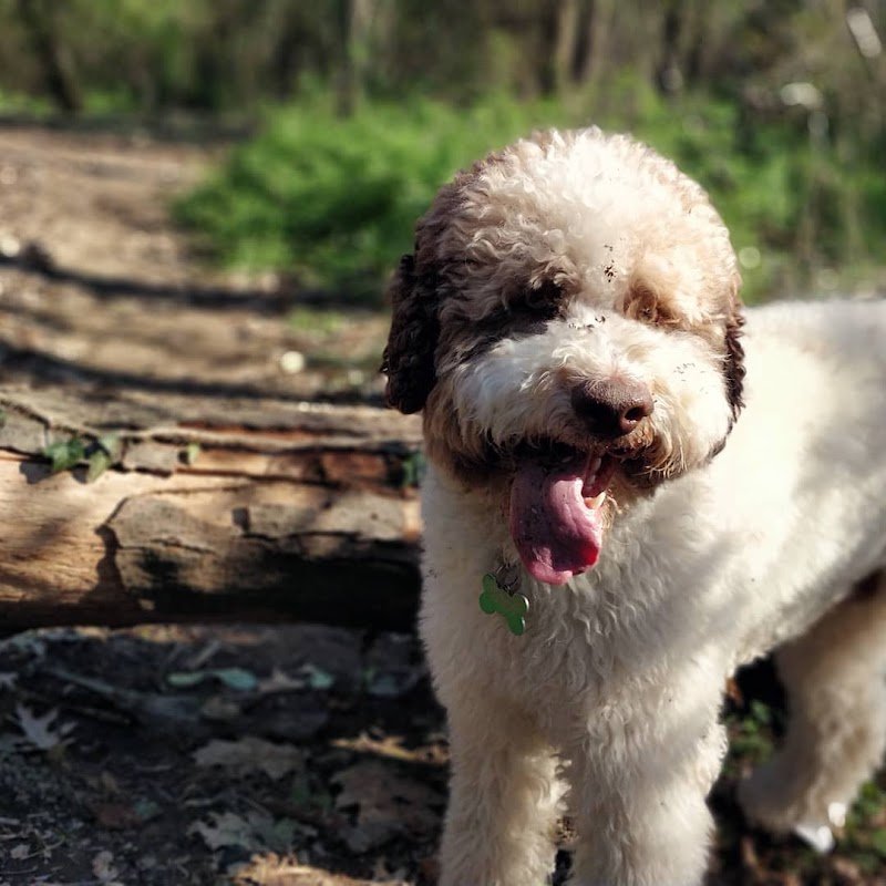 Mi Faccio Bello - Foto 1