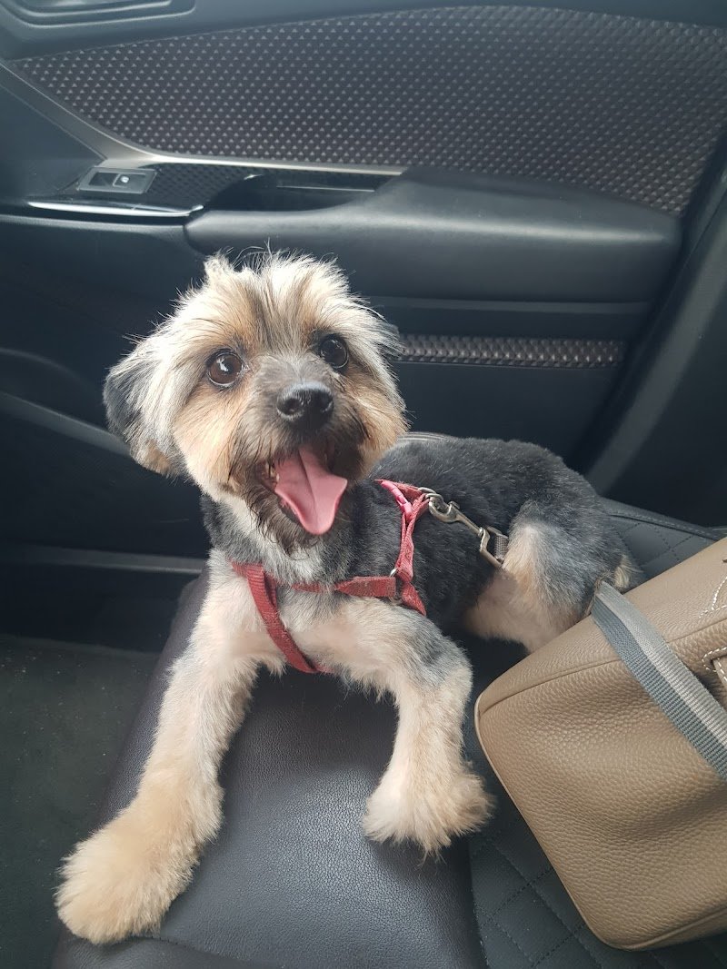 Mi Faccio Bello - Foto 2