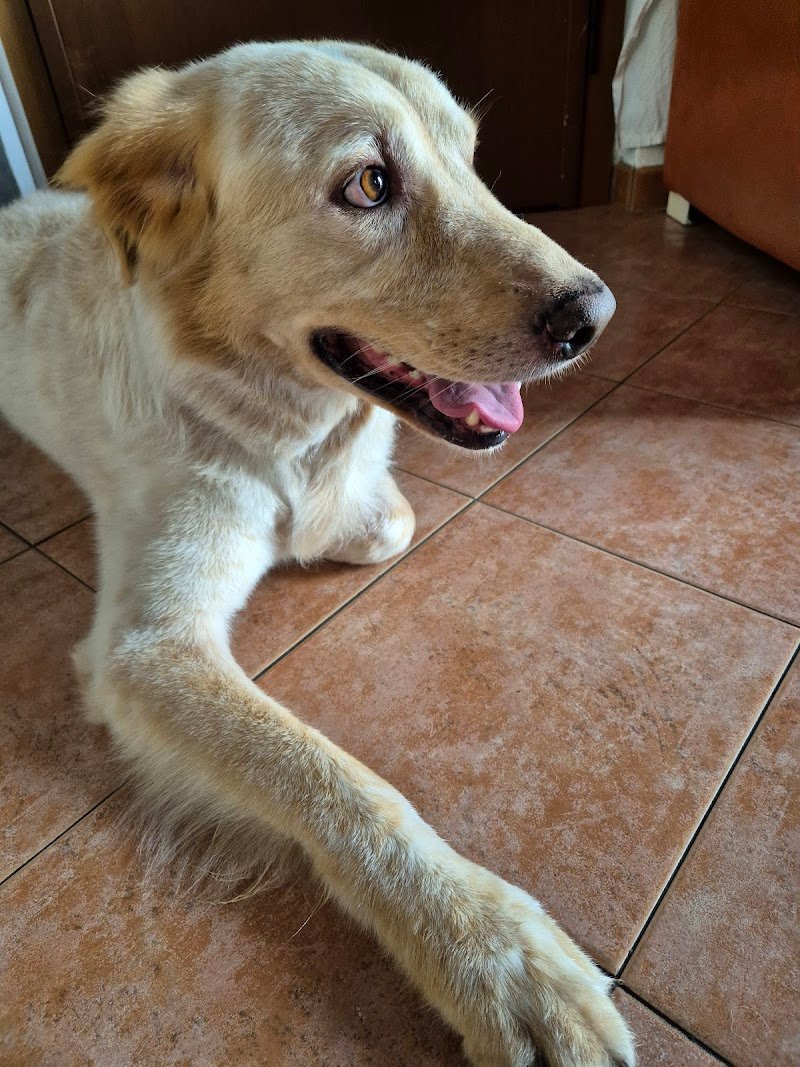 Mi Faccio Bello - Foto 3