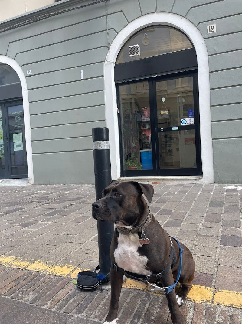 Mi Faccio Bello - Foto 4