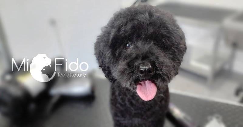 Mi Fido di Michele Petrussa Toelettatura - Foto 2