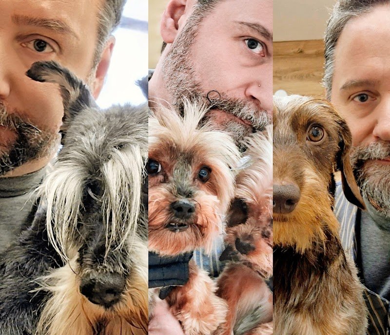 Mi Fido di Michele Petrussa Toelettatura - Foto 4