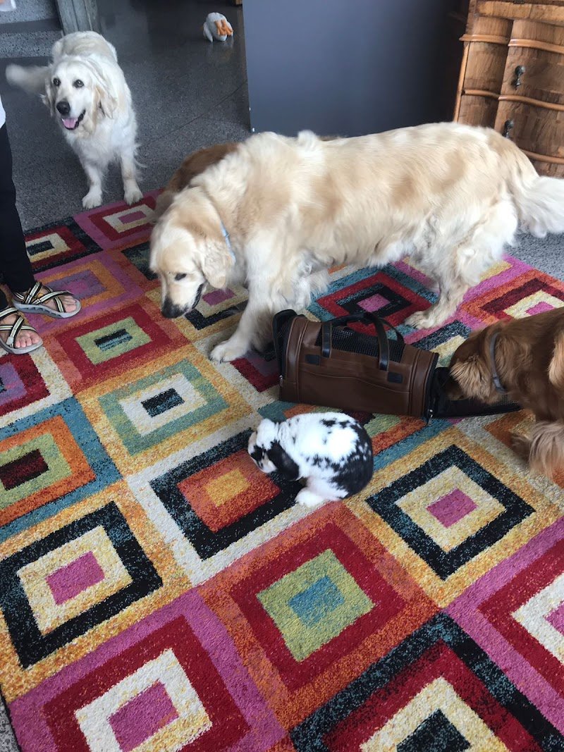 Mi Fido di Te - Foto 2