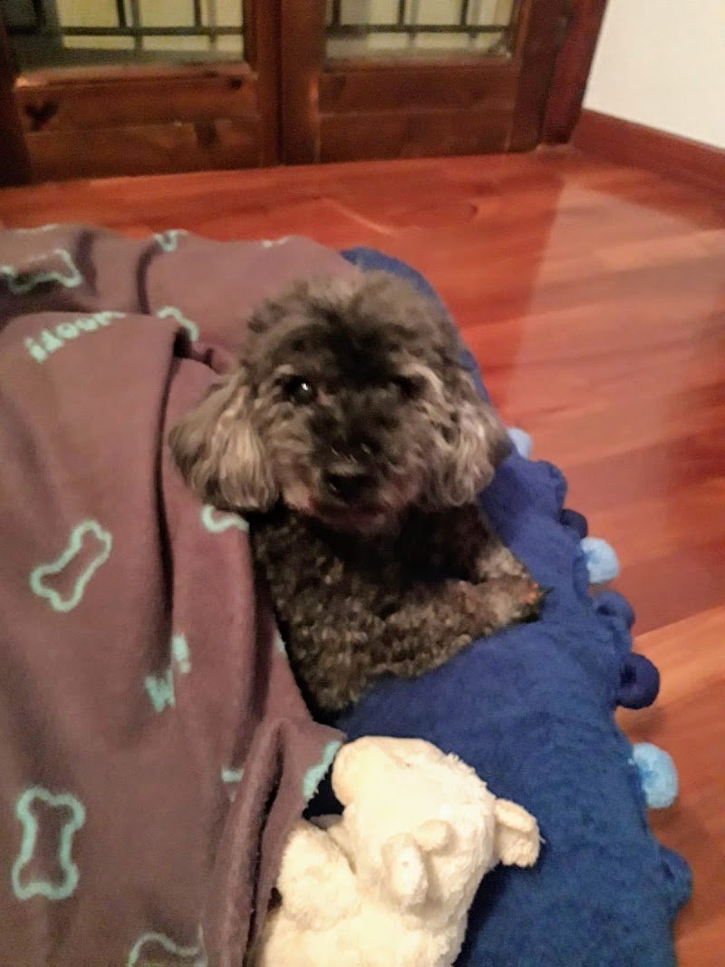 Mi Fido di Te - Foto 3