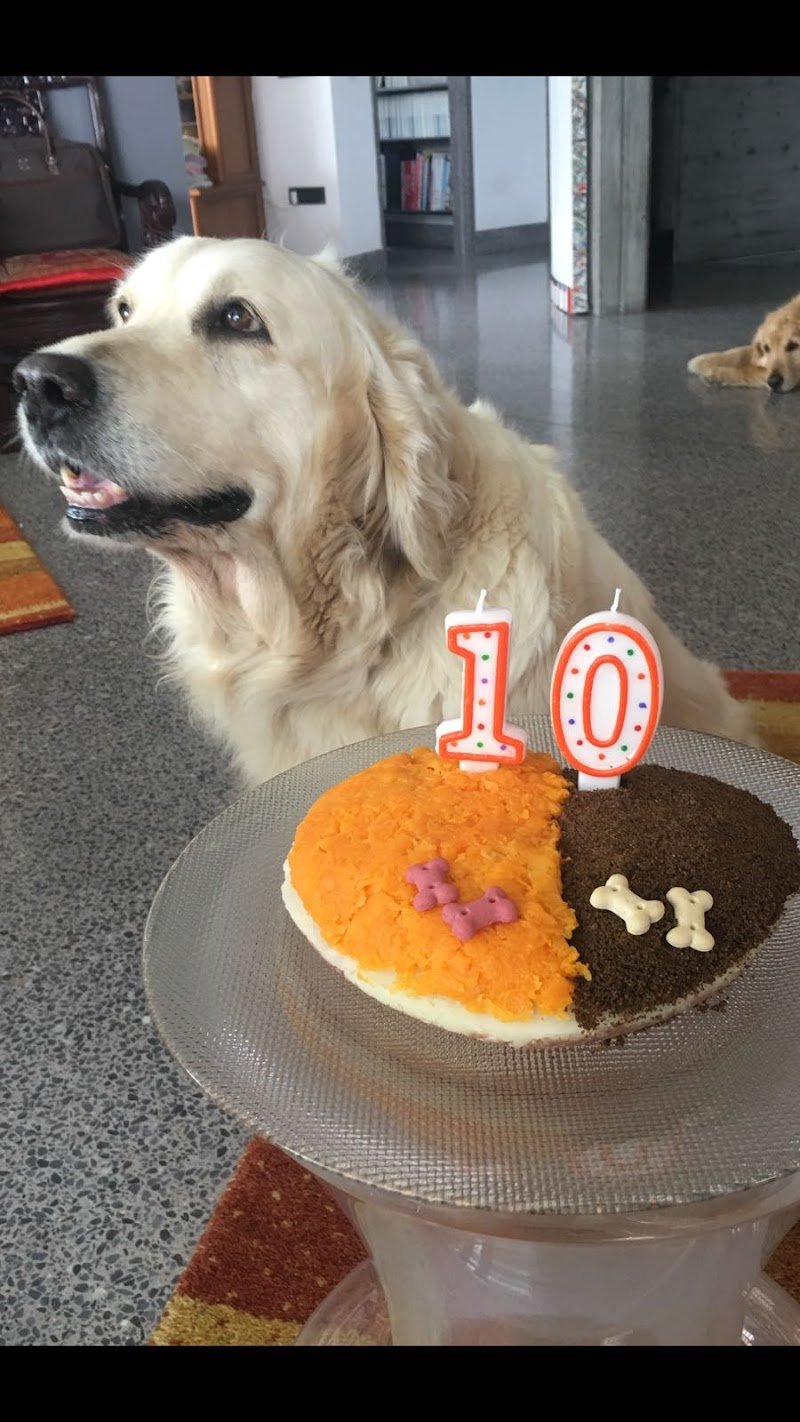 Mi Fido di Te - Foto 6