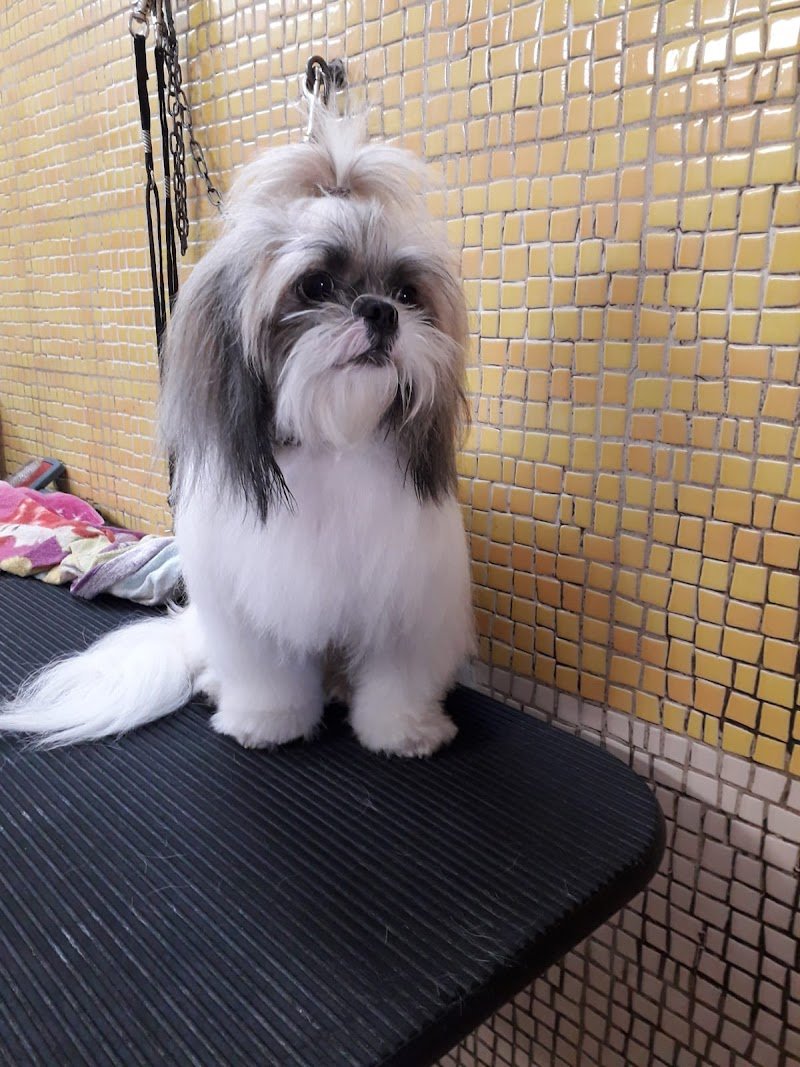 Mi Fido Di Te - Foto 4