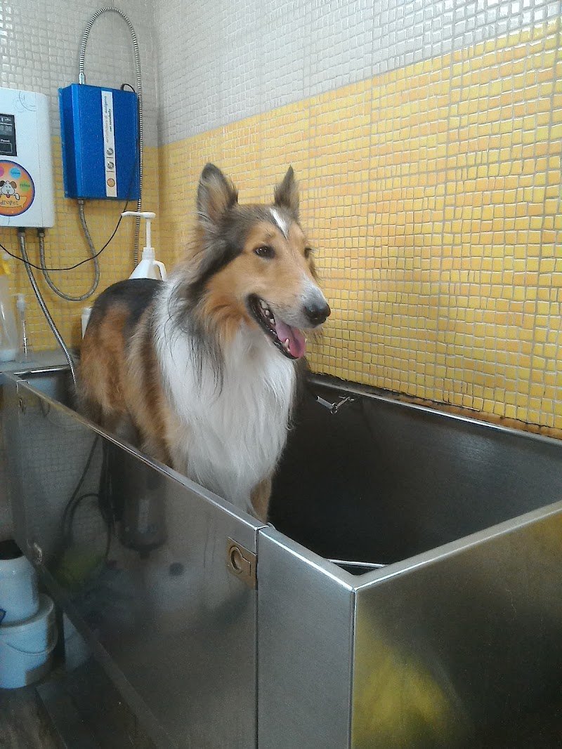 Mi Fido Di Te - Foto 6