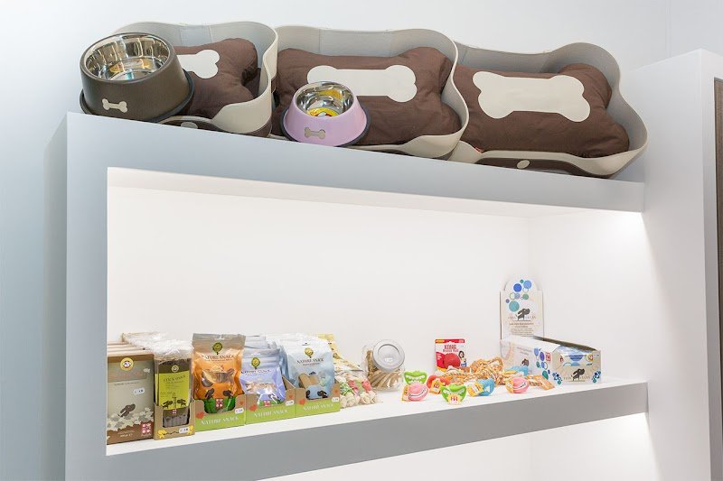 Mi Fido di Te di Chiara Cilia - Toelettatura - Foto 3