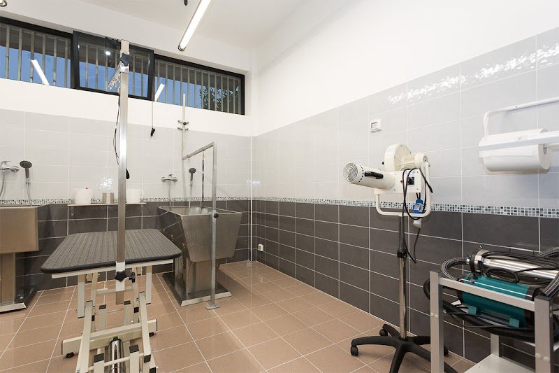 Mi Fido di Te di Chiara Cilia - Toelettatura - Foto 4