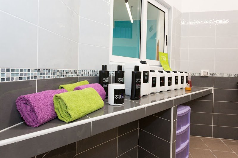 Mi Fido di Te di Chiara Cilia - Toelettatura - Foto 5