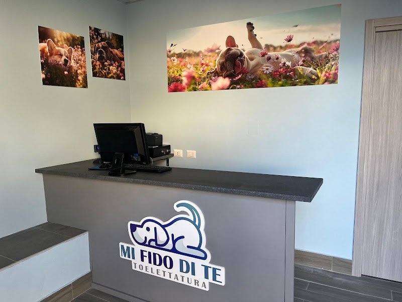 Mi Fido di Te - Foto 2