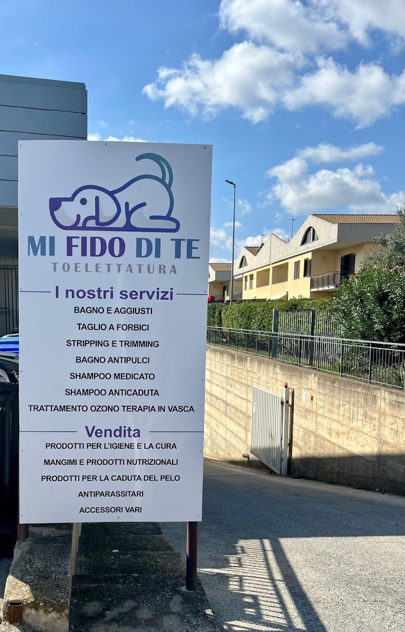 Mi Fido di Te - Foto 3