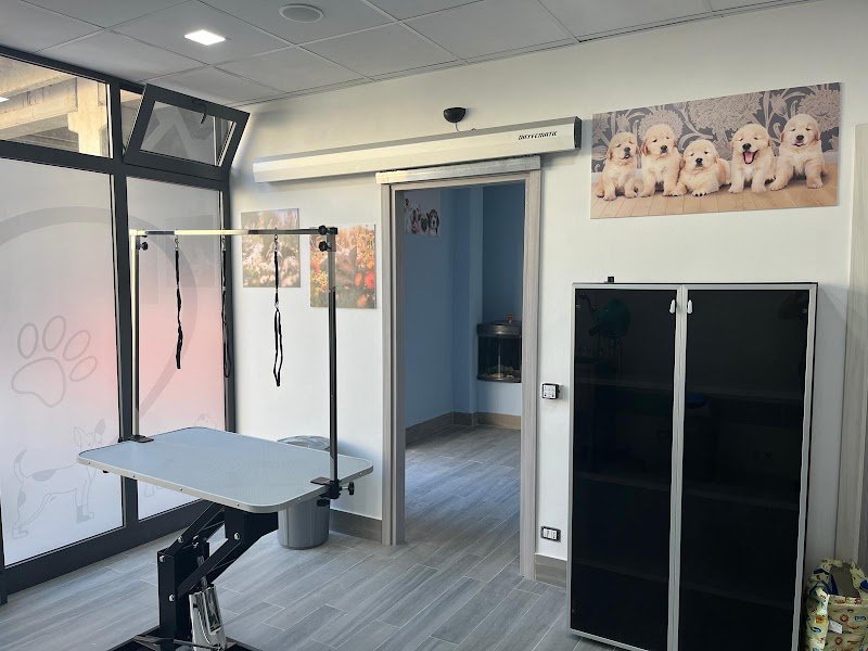 Mi Fido di Te - Foto 4