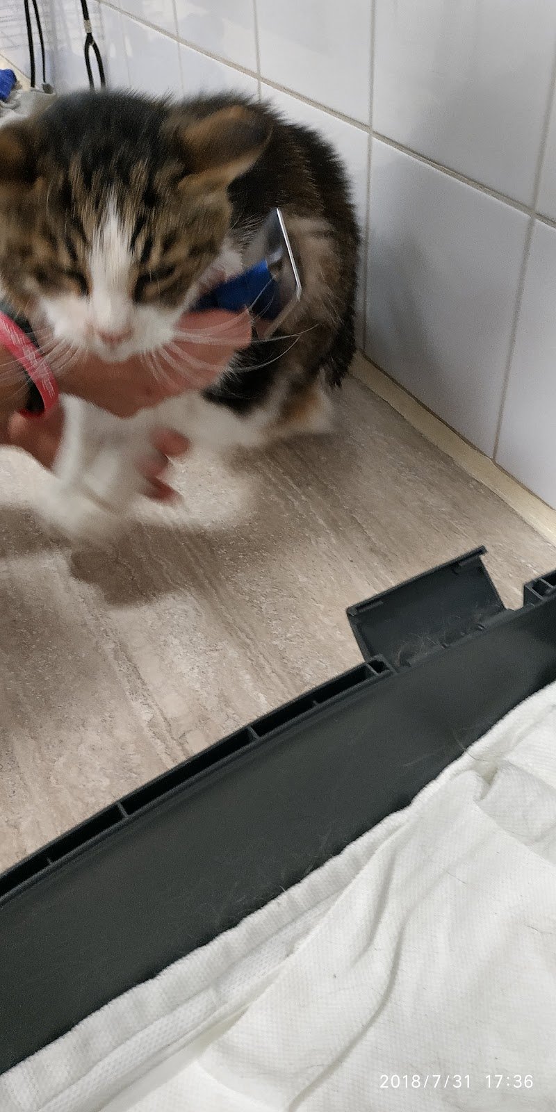 MI FIDO DI TE - Foto 1