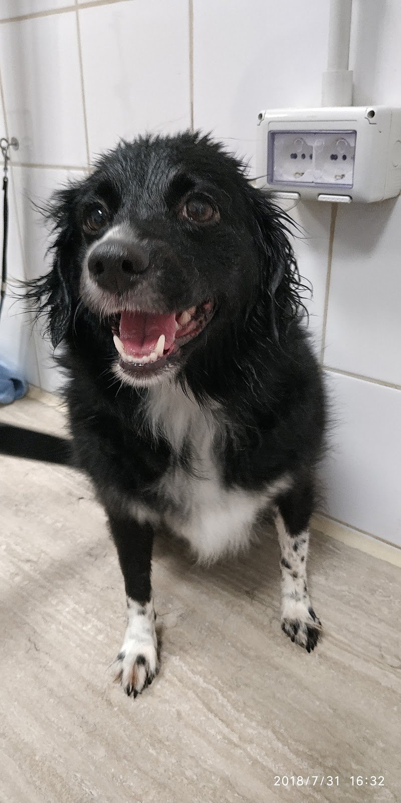 MI FIDO DI TE - Foto 2