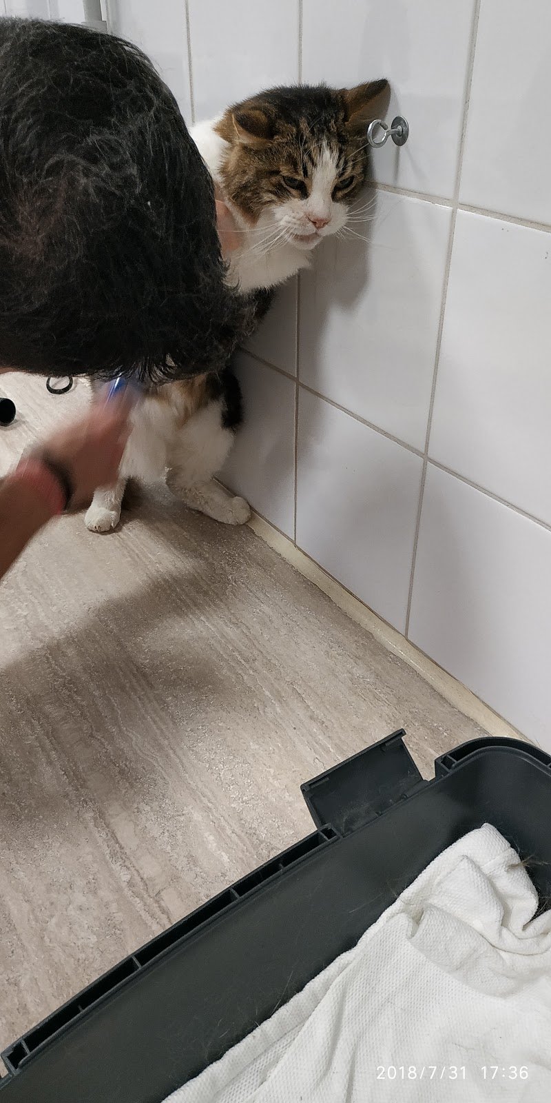 MI FIDO DI TE - Foto 3