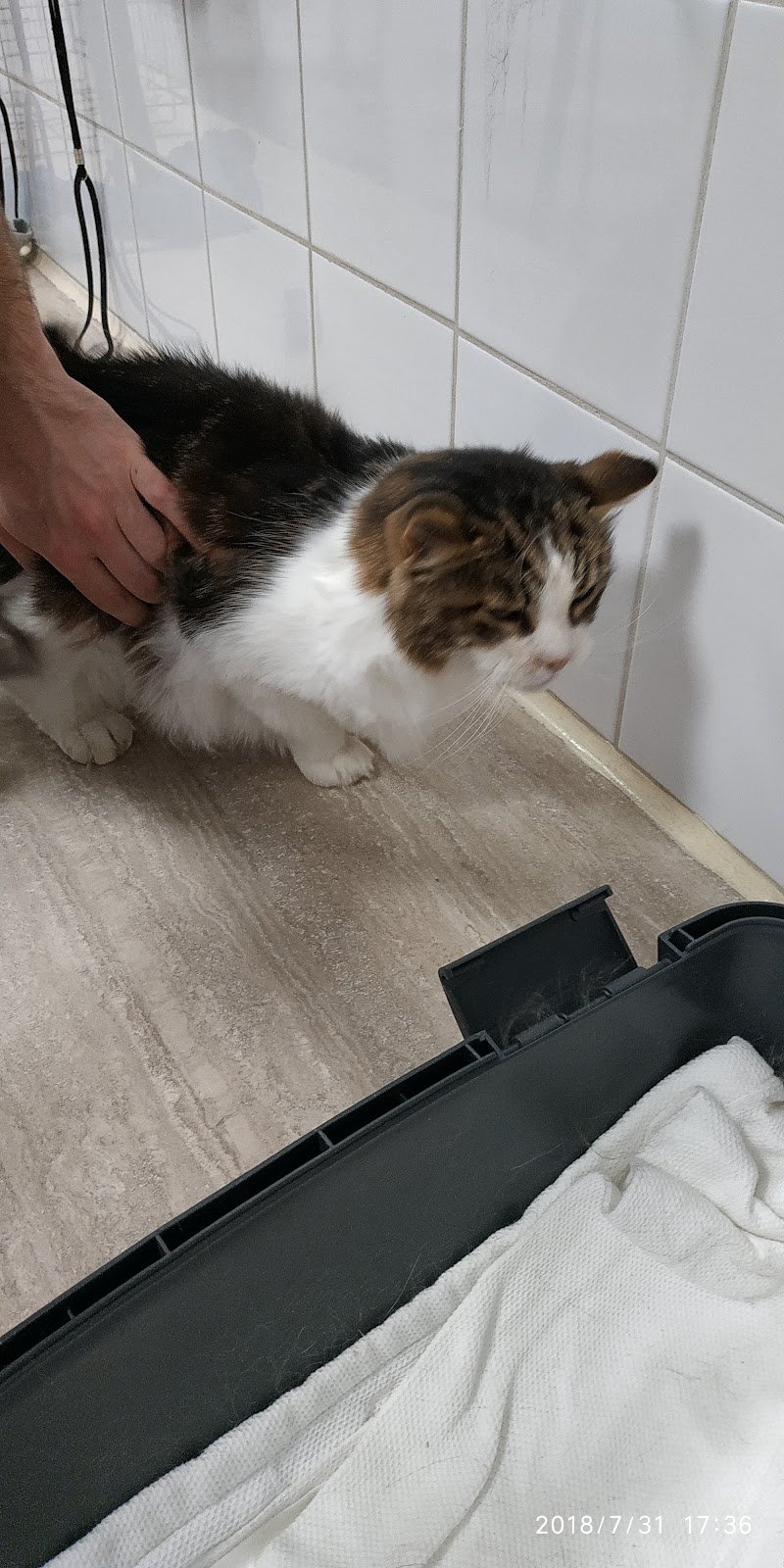 MI FIDO DI TE - Foto 5