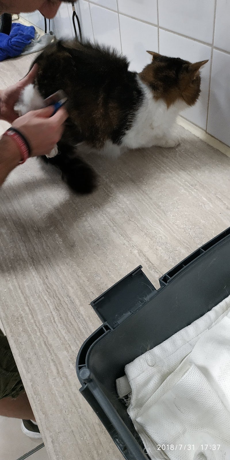 MI FIDO DI TE - Foto 6