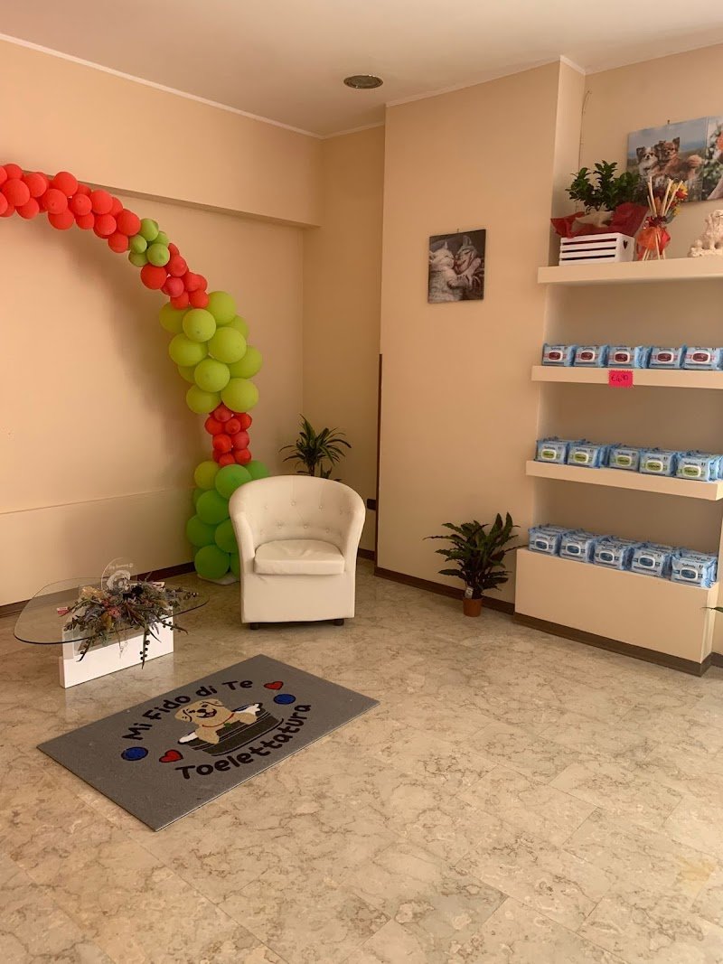 Mi Fido di Te Toelettatura - Foto 1