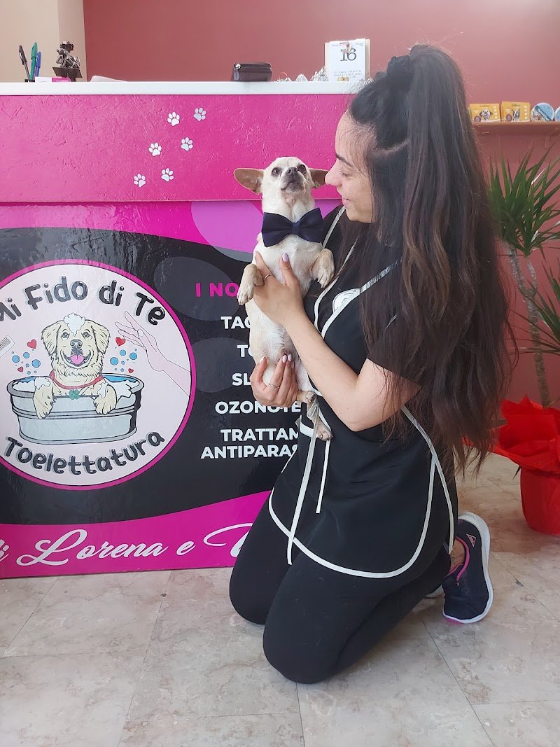 Mi Fido di Te Toelettatura - Foto 2