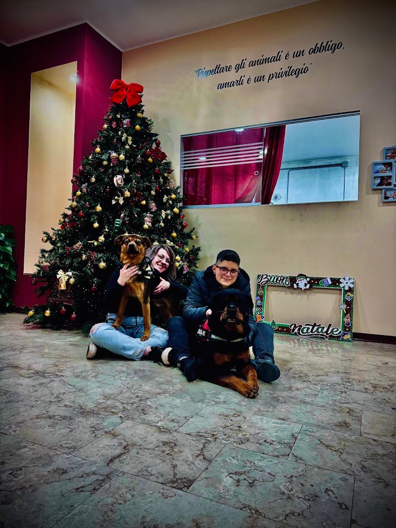 Mi Fido di Te Toelettatura - Foto 3