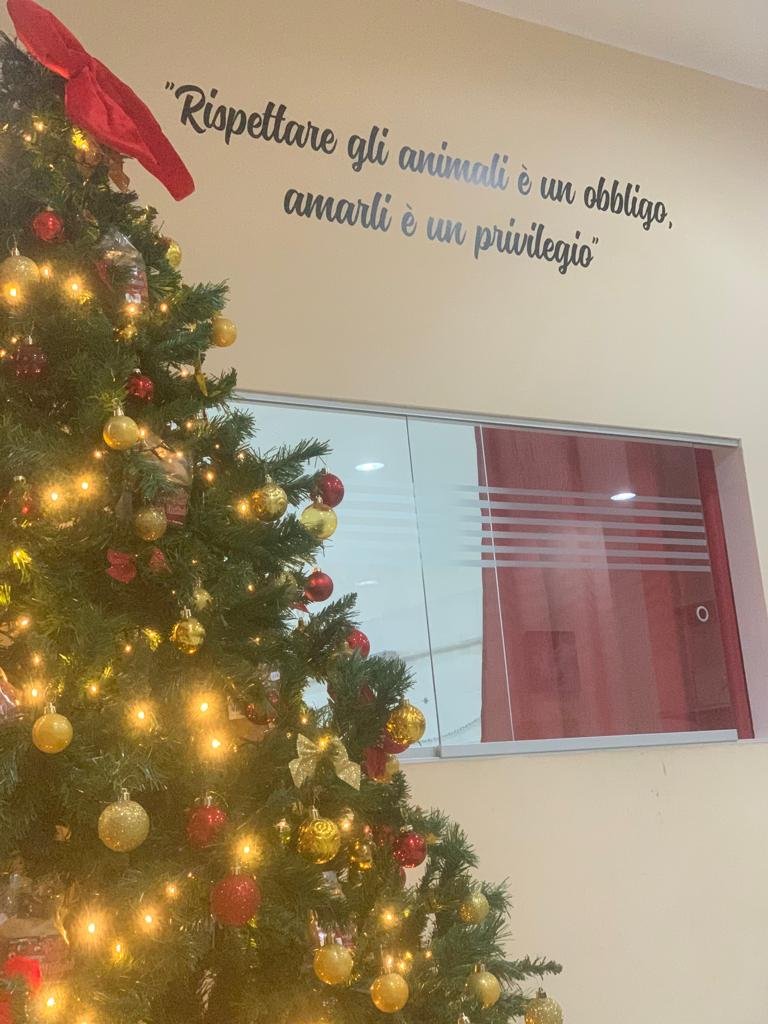 Mi Fido di Te Toelettatura - Foto 4