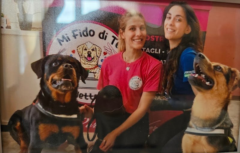 Mi Fido di Te Toelettatura - Foto 6