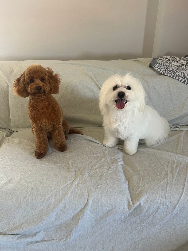 Mi Fido di Te - Foto 2