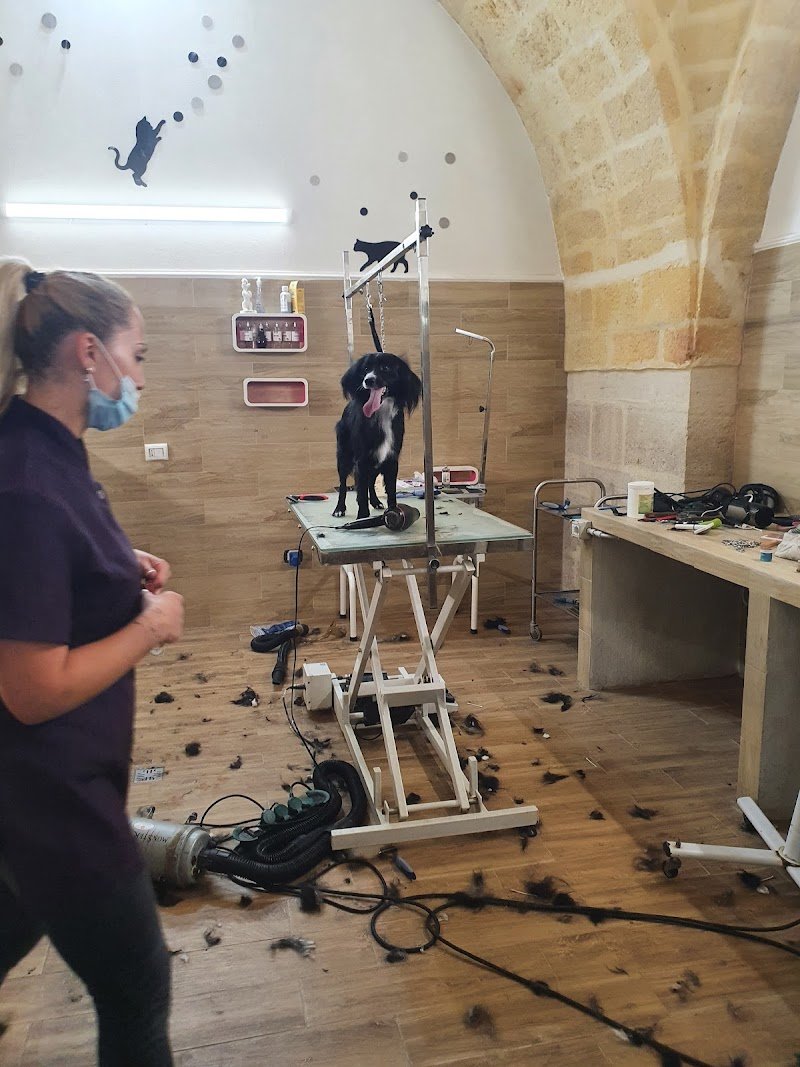 Mi Fido di Te - Foto 4