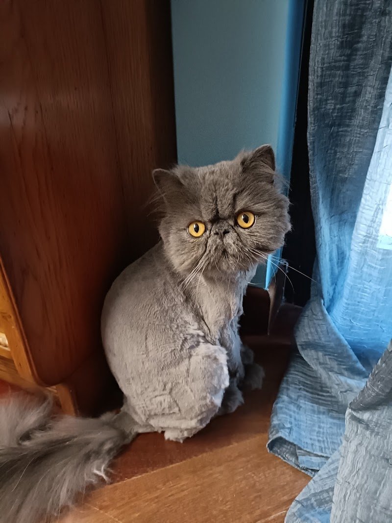 Mi Fido di Te - Foto 5