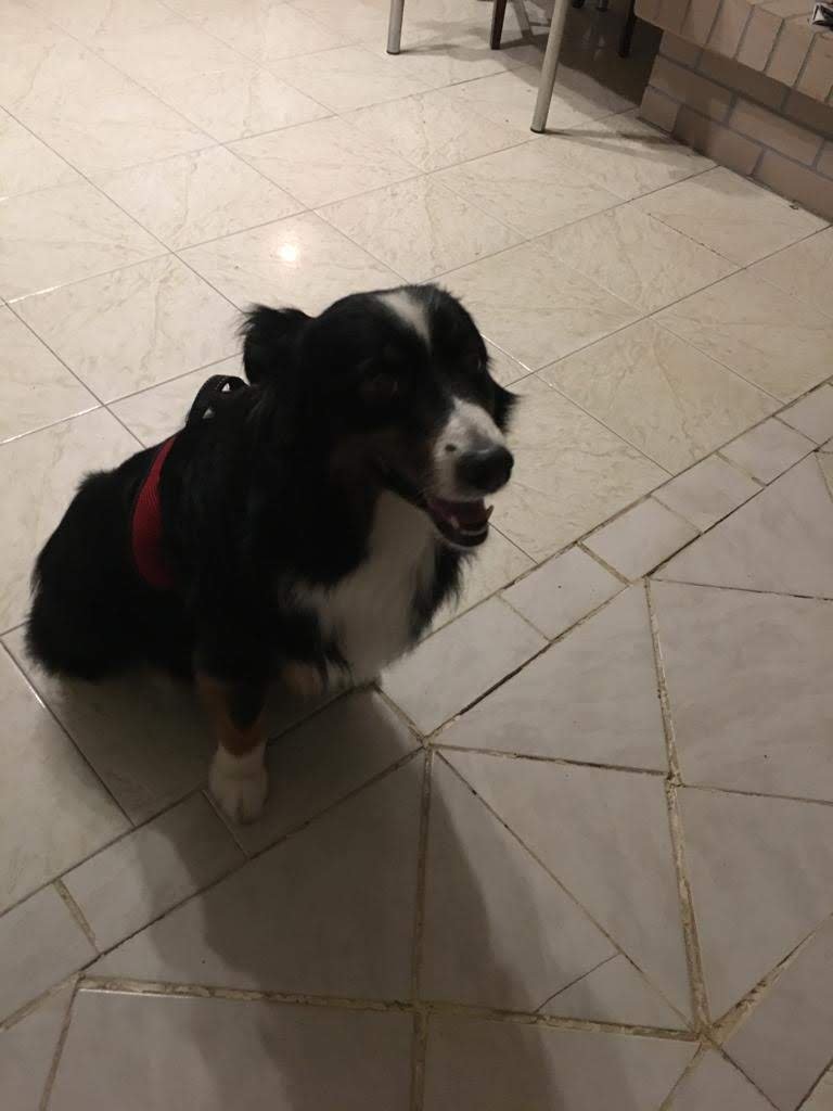 Mi Fido di Te - Foto 6