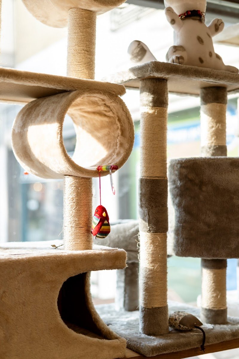 Mi Fido Pet - Negozio per animali Vicenza - Foto 3