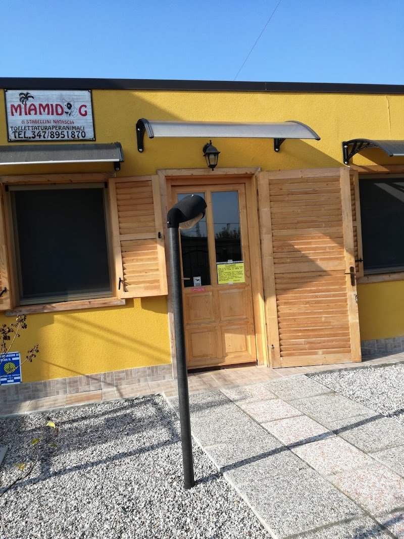 Miamidog di Stabellini Natascia - Foto 1