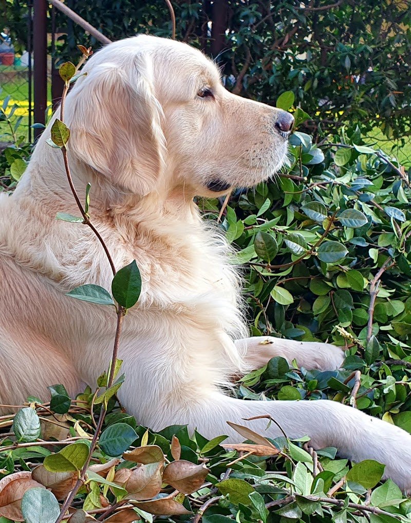 Miao & Bau Oasis - Foto 3