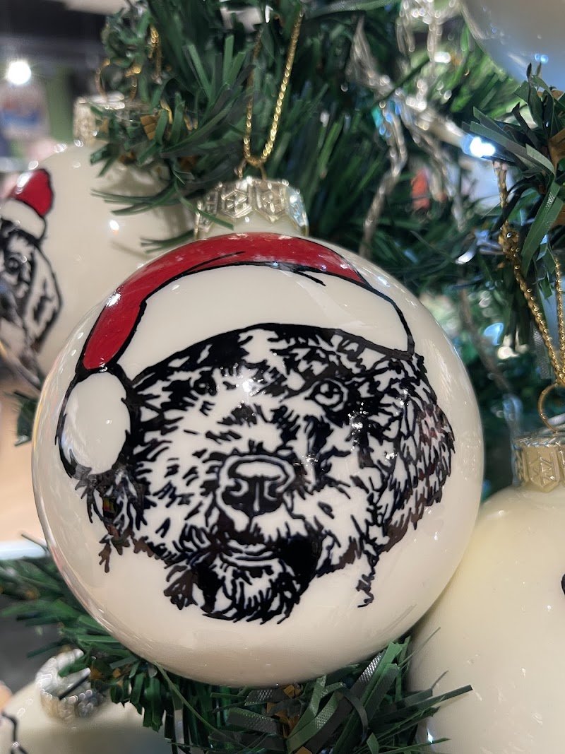 miaobaupetshop - Foto 4