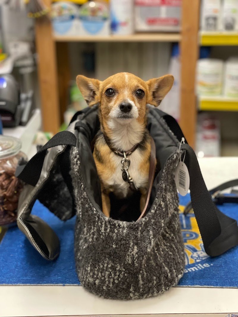 miaobaupetshop - Foto 5