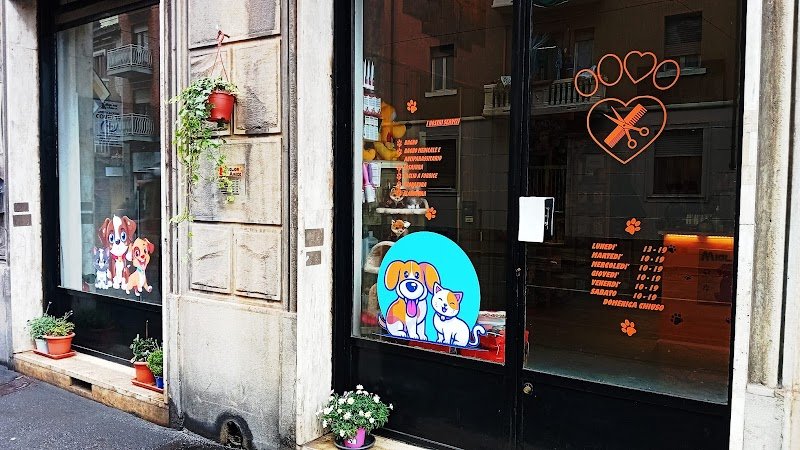 Miglior Amico - Foto 1