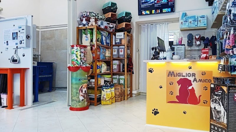 Miglior Amico - Foto 2