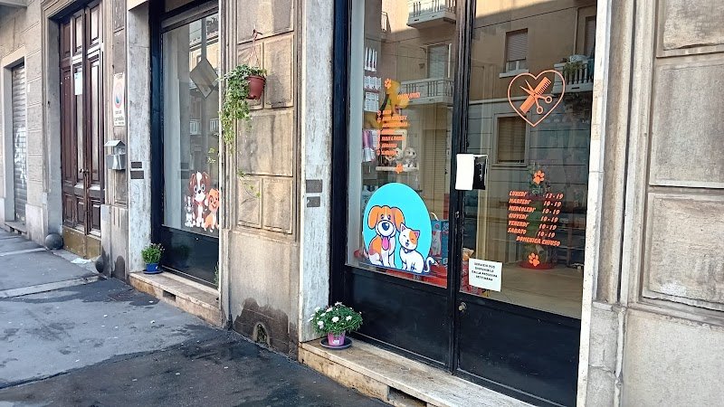 Miglior Amico - Foto 3